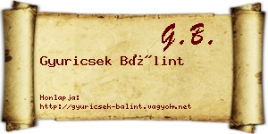 Gyuricsek Bálint névjegykártya