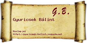 Gyuricsek Bálint névjegykártya