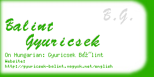 balint gyuricsek business card